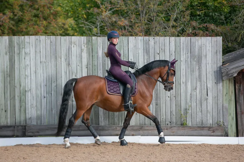 Coldstream Ednam Riding Tights - Mulberry Purple-3